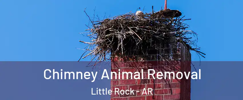  Chimney Animal Removal Little Rock - AR