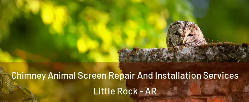  Chimney Animal Screen Repair And Installation Services Little Rock - AR