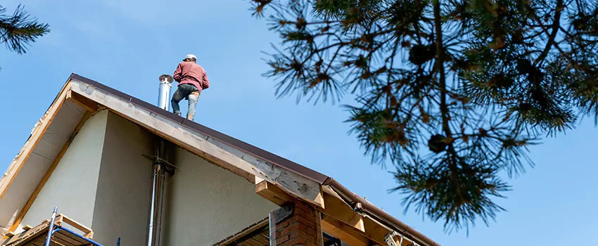 Birds Removal Contractors from Chimney in Little Rock, AR